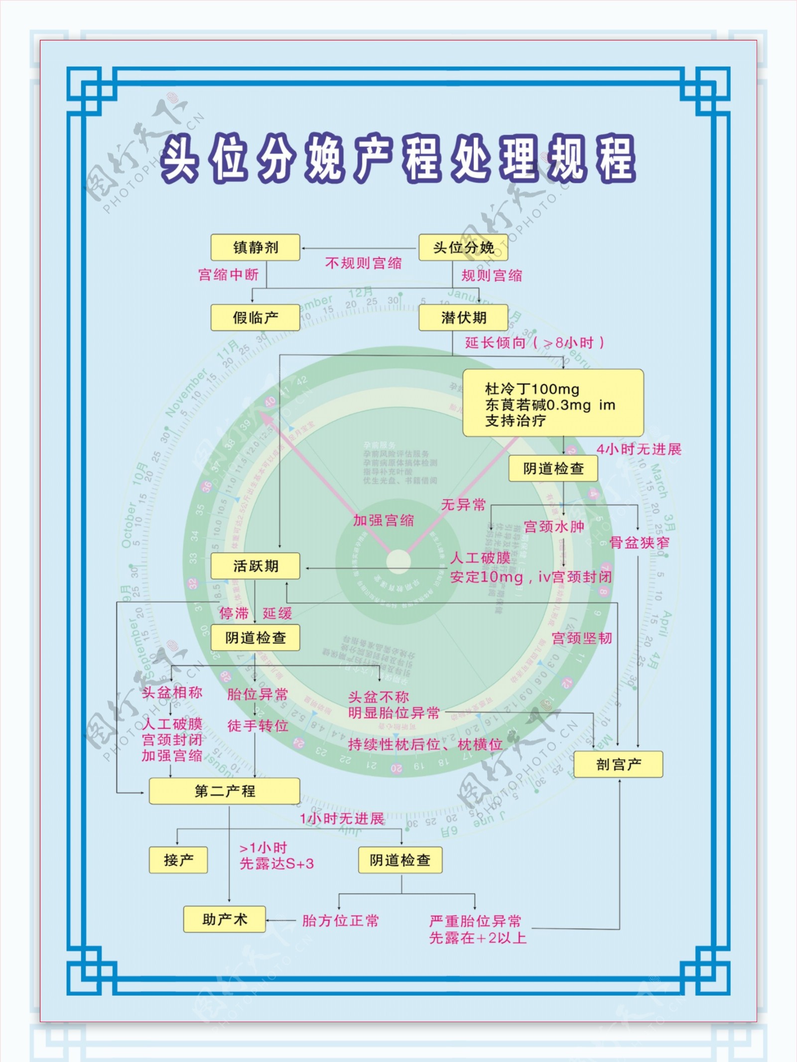 头位分娩产程处理规程图片