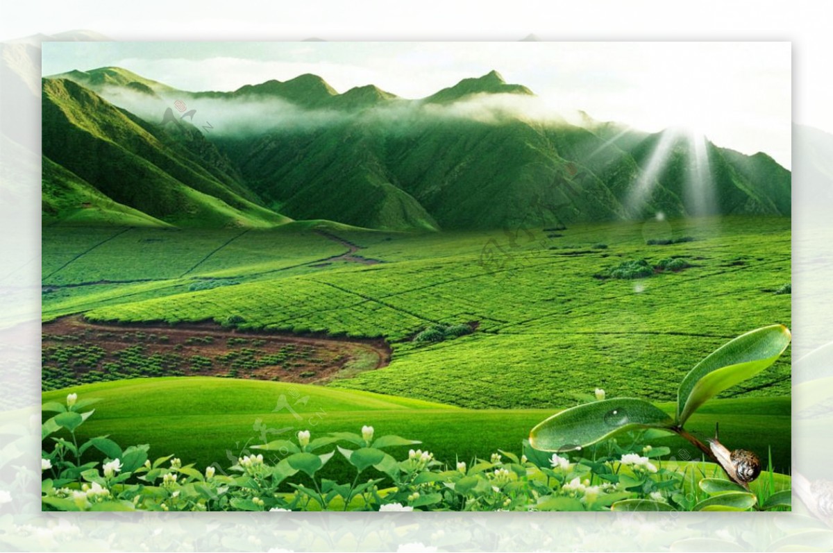绿色高山草原美景图片