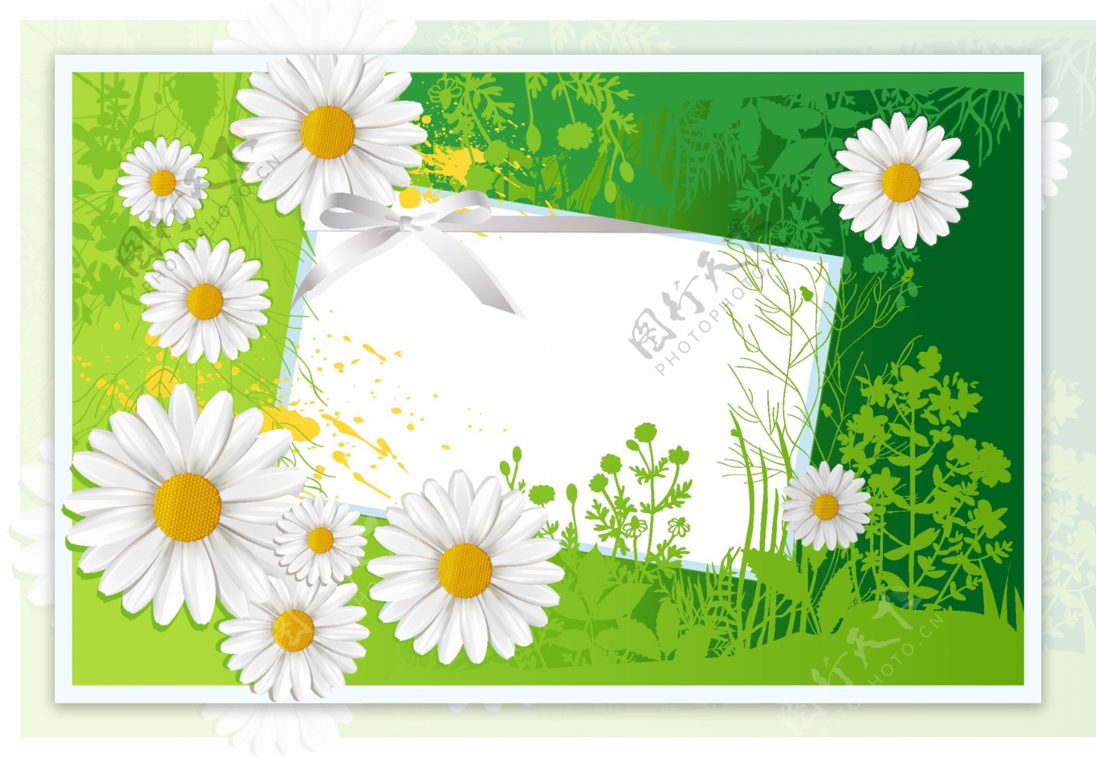 绿草菊花卡片图片