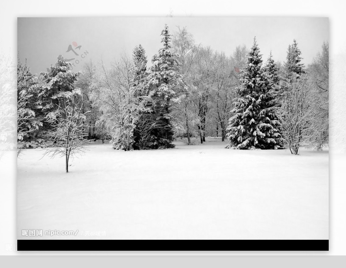 冬天雪景图片