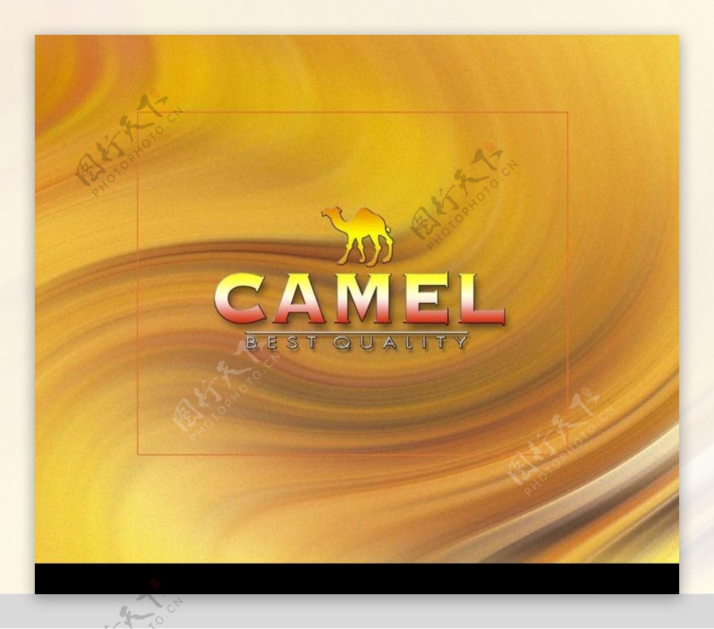 Camel包裝設計图片
