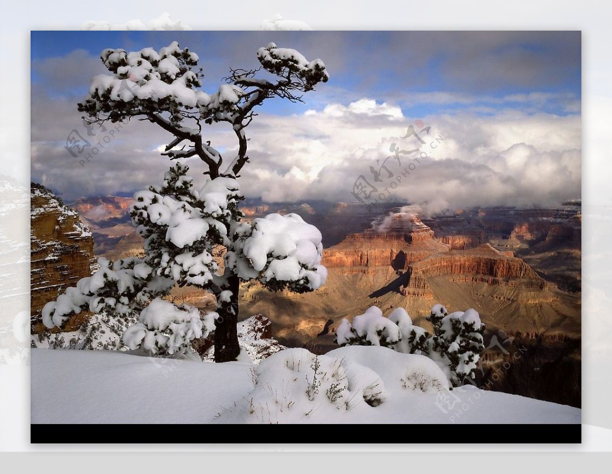 雪景风光图片