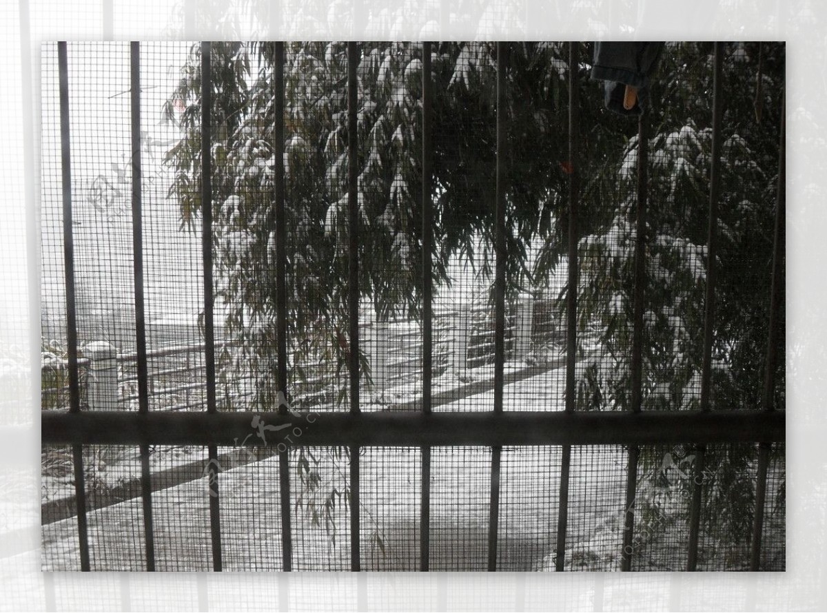 窗外雪景图片