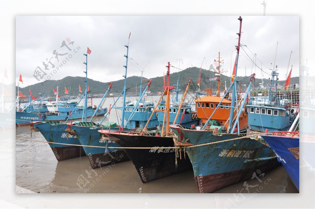 象山石浦渔港图片