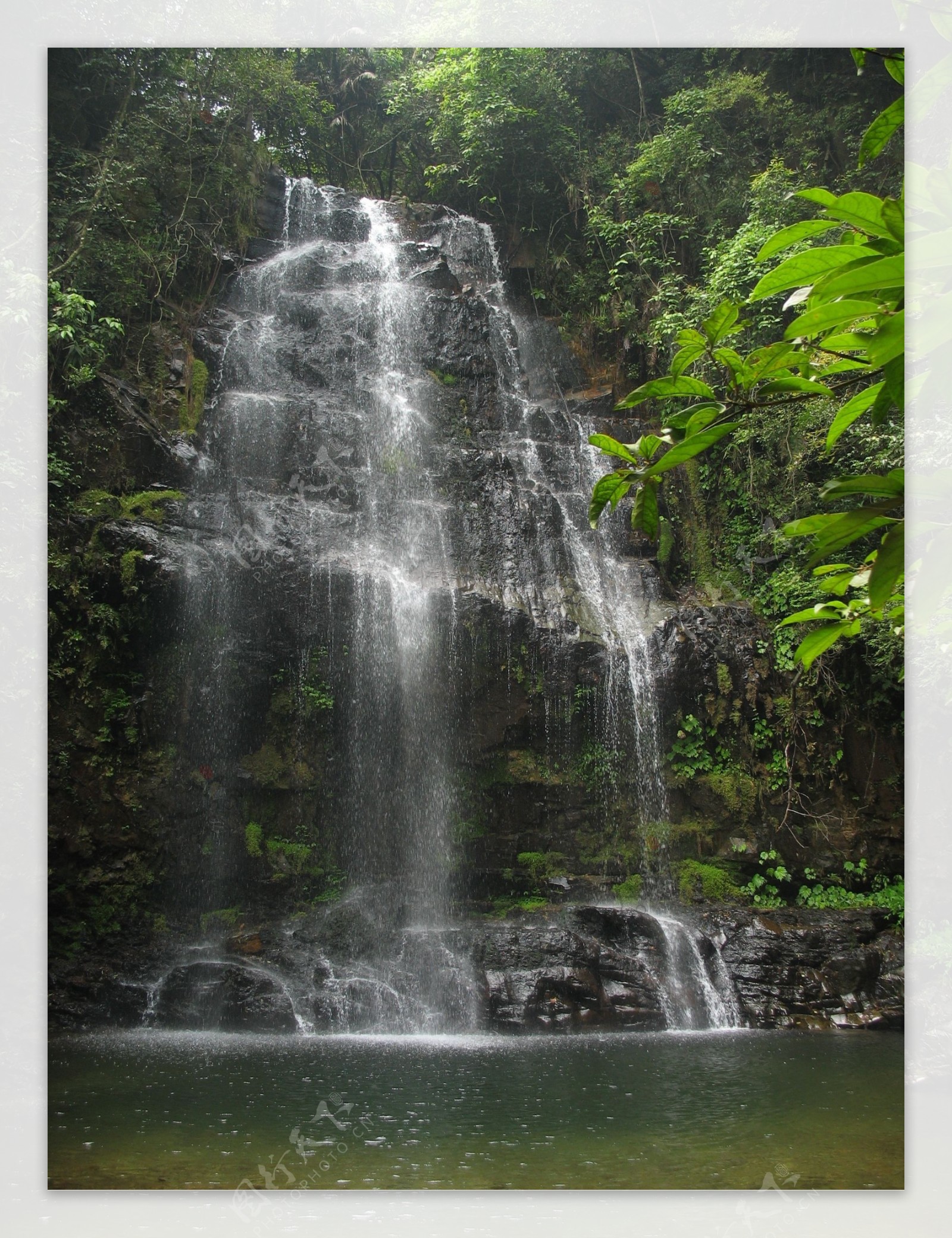 鼎湖山老龙潭图片