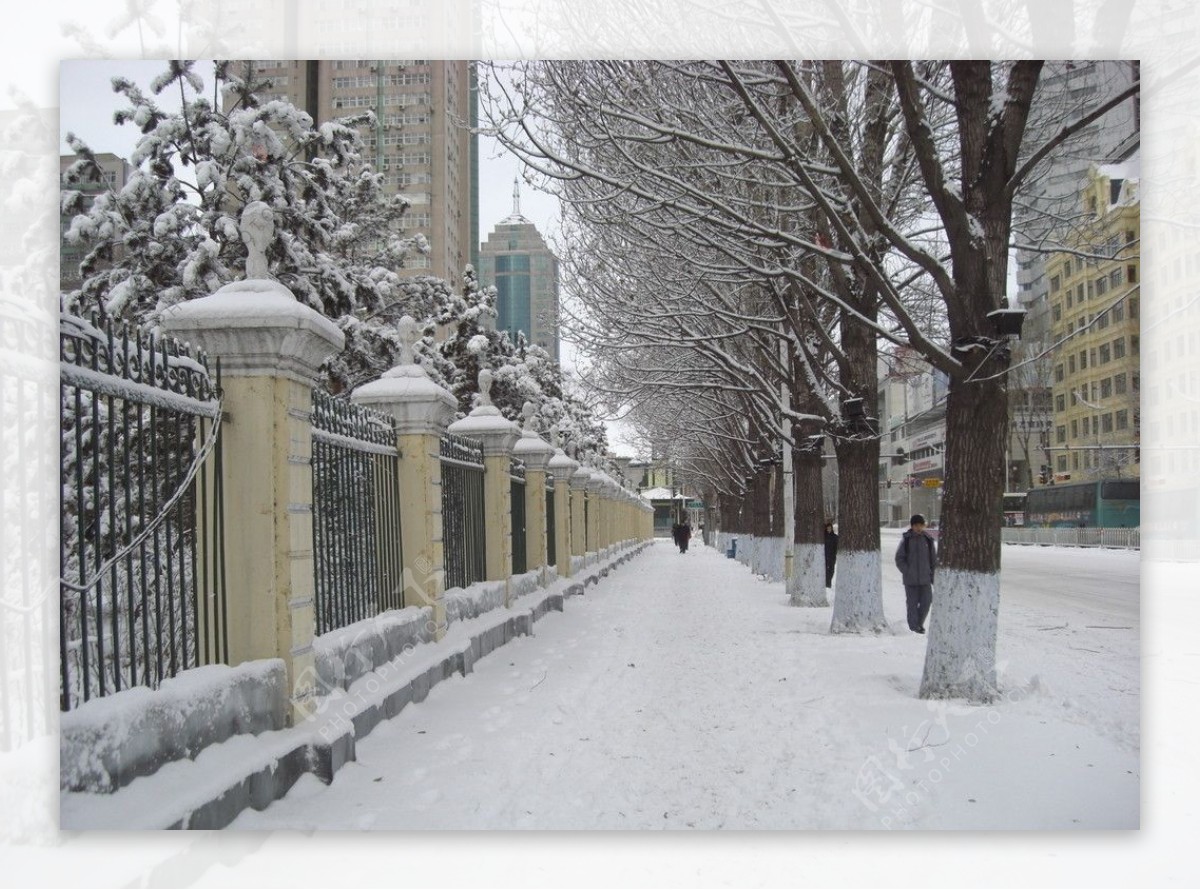 雪后街道图片