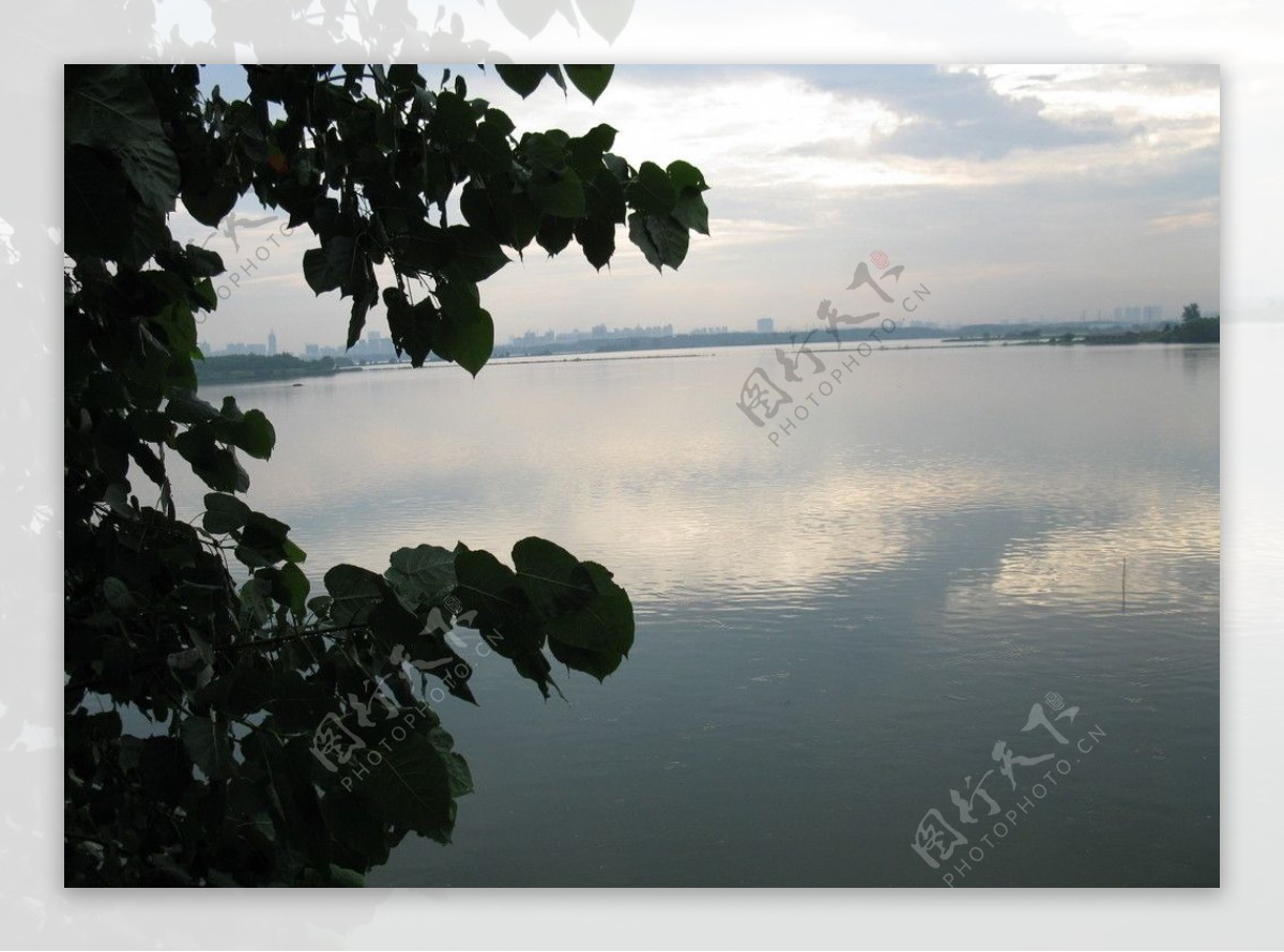 东湖风景图图片