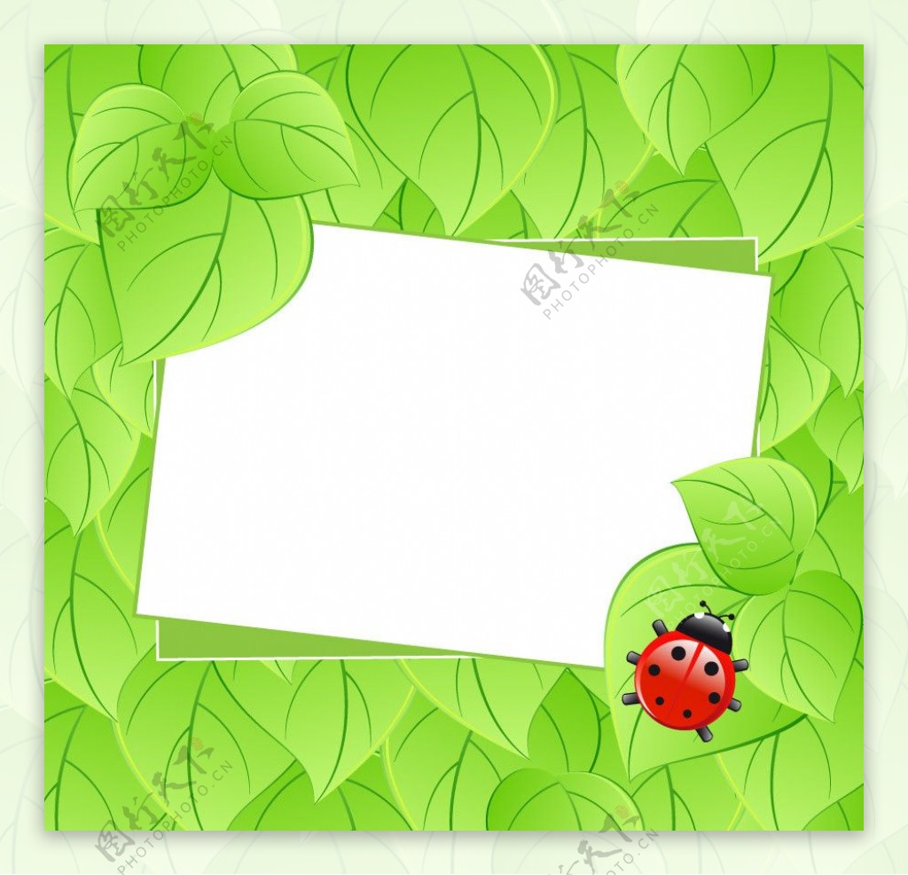 动感绿叶瓢虫空白卡片图片