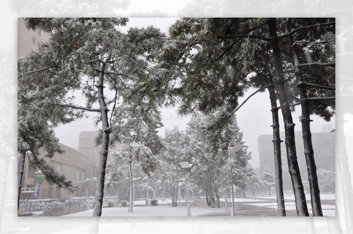北京师范大学雪景图片