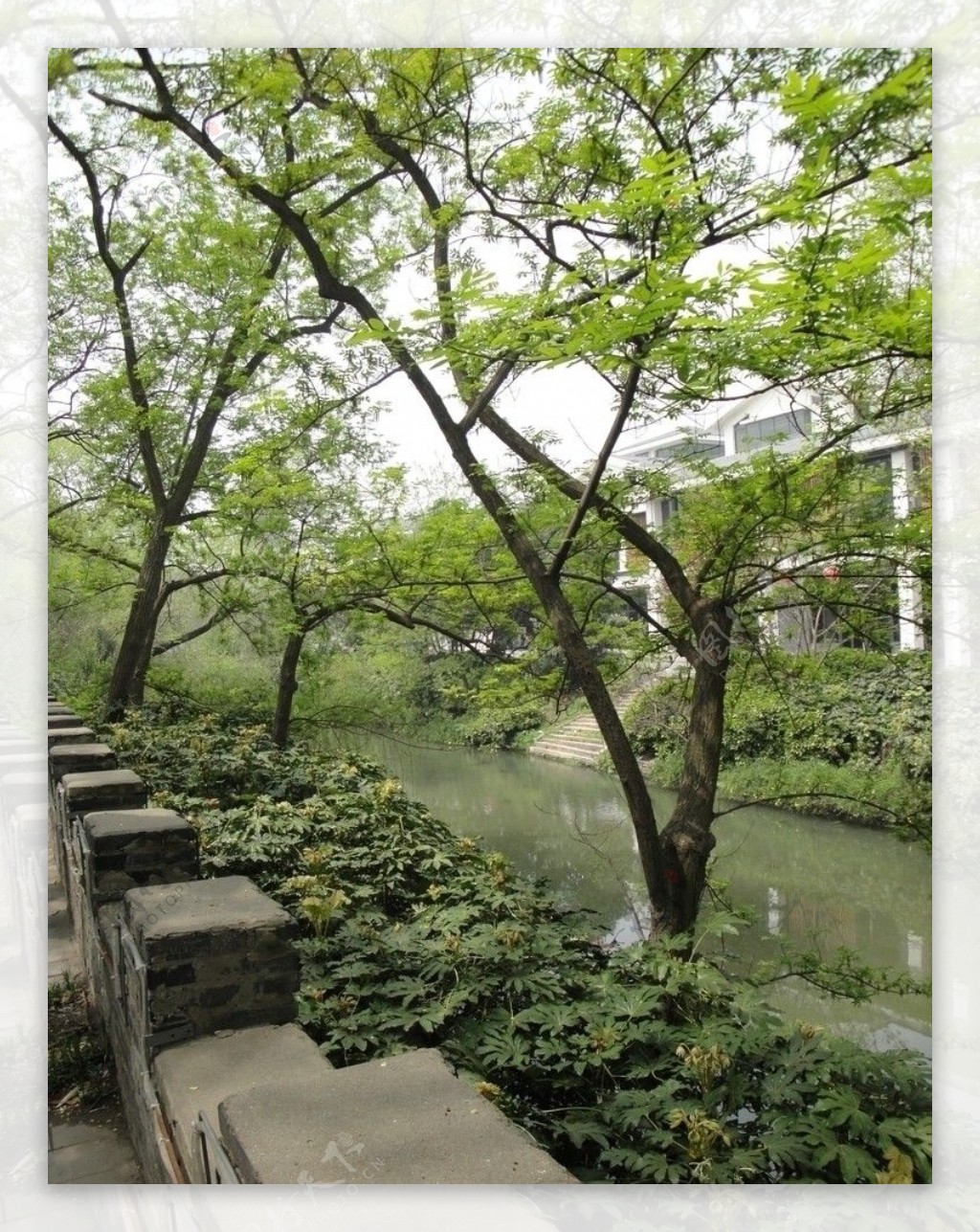 扬州古典园林个园街边风景图片