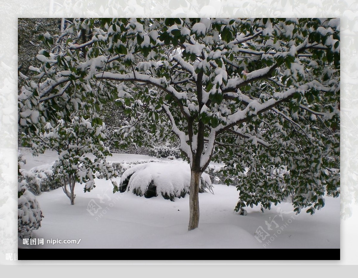 2008大雪图片