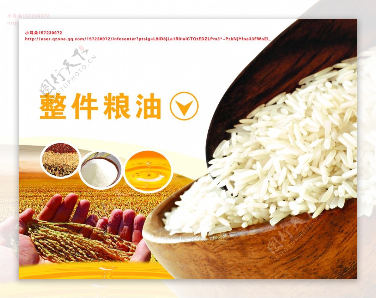 麦子大米粮油面稻图片