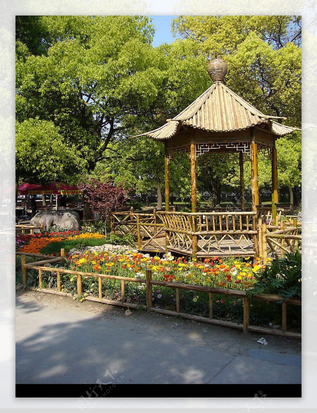 上海植物圆景图片