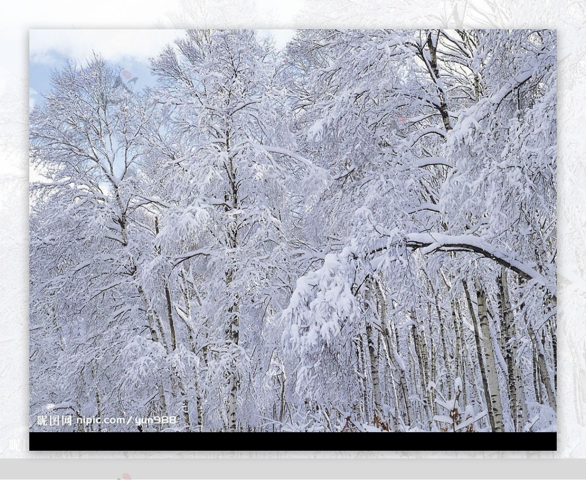 精品底纹素材冬天雪景图片