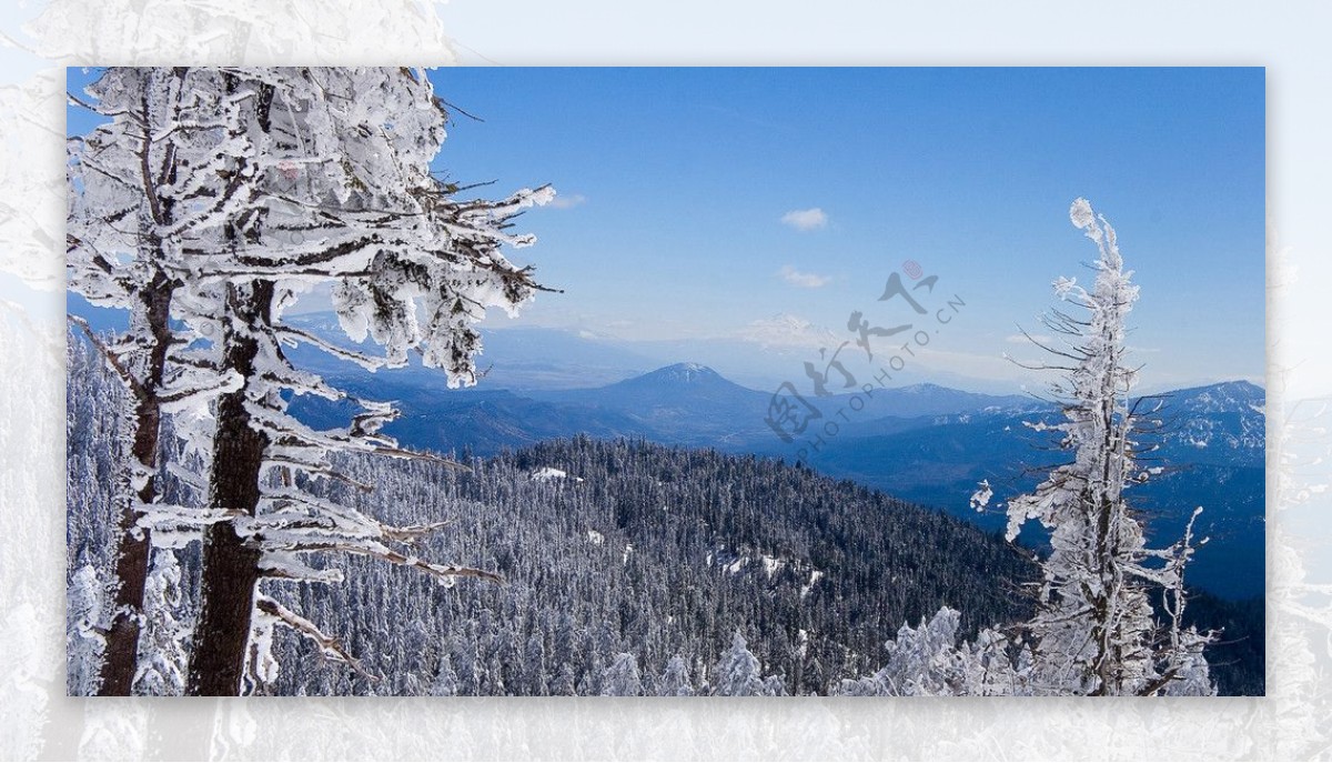 雪景图片