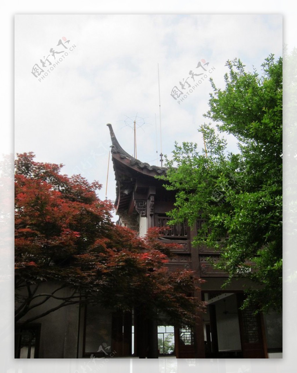 杭州玉皇山顶的树和亭图片