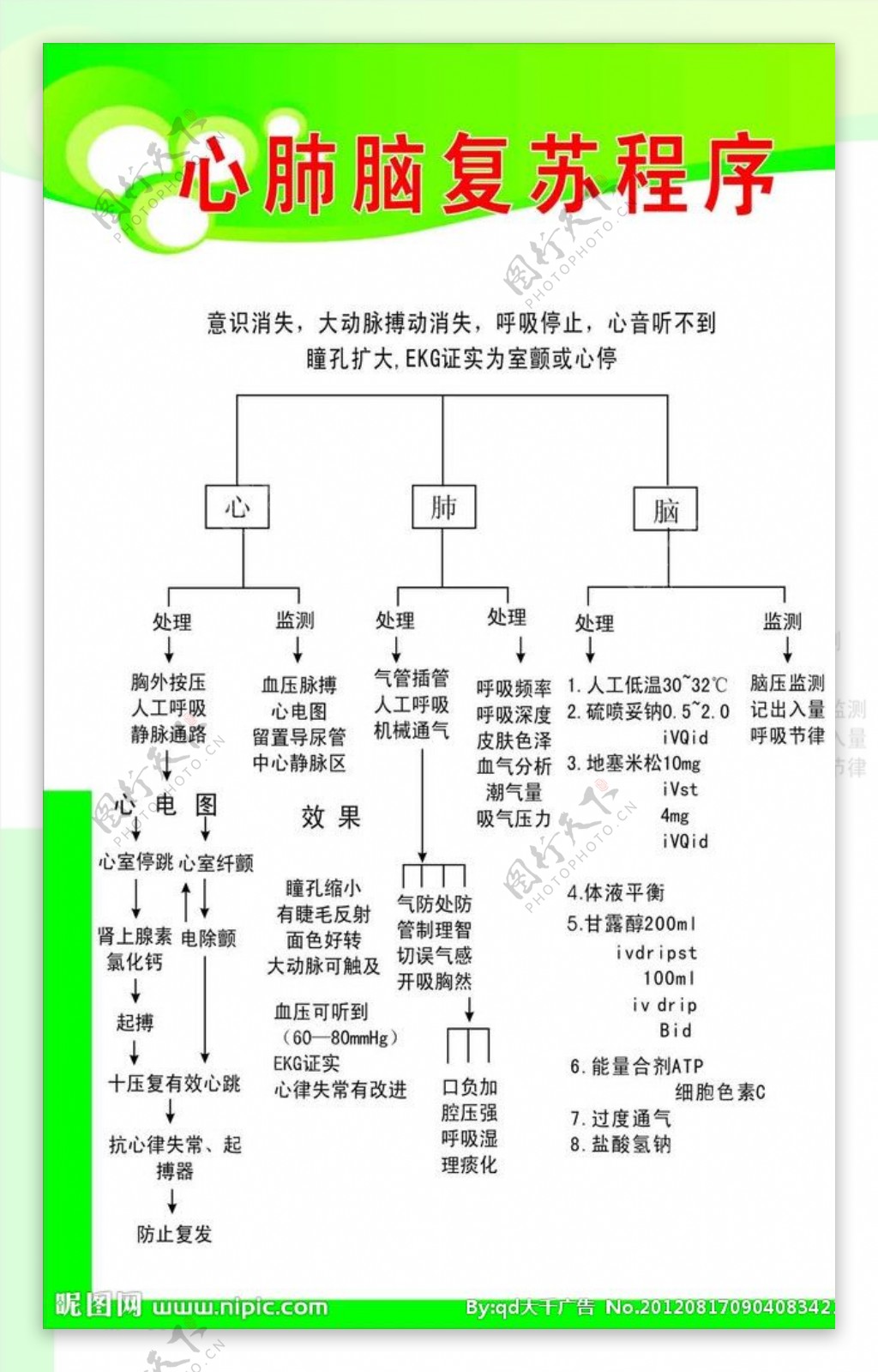 心肺脑复苏程序图片