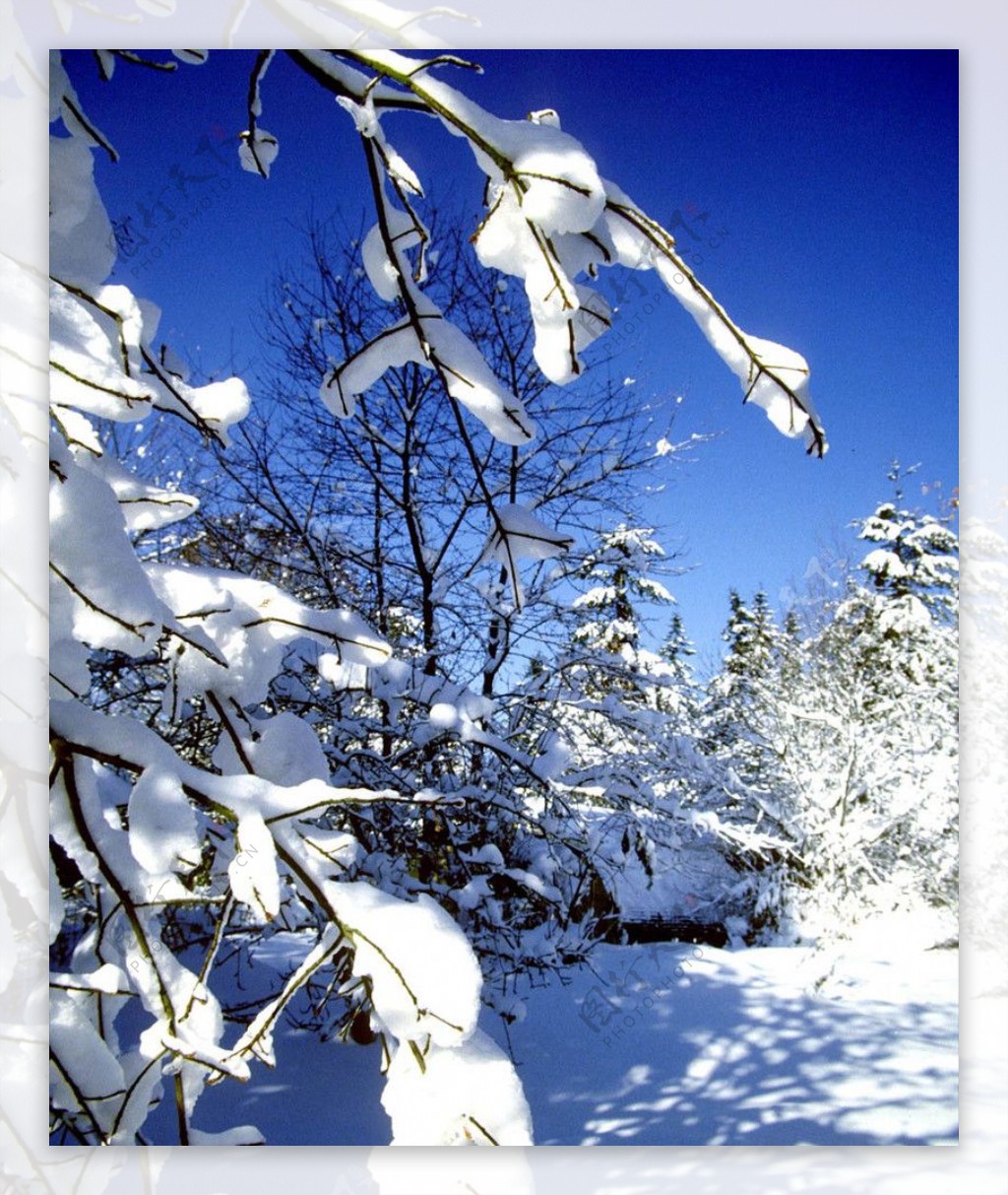 大雪迷幻风景8图片