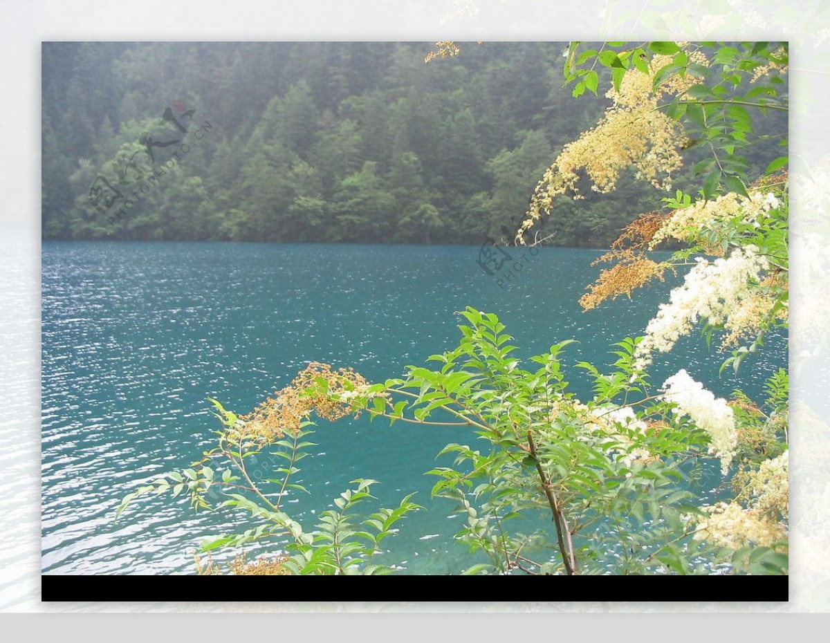 神仙湖图片