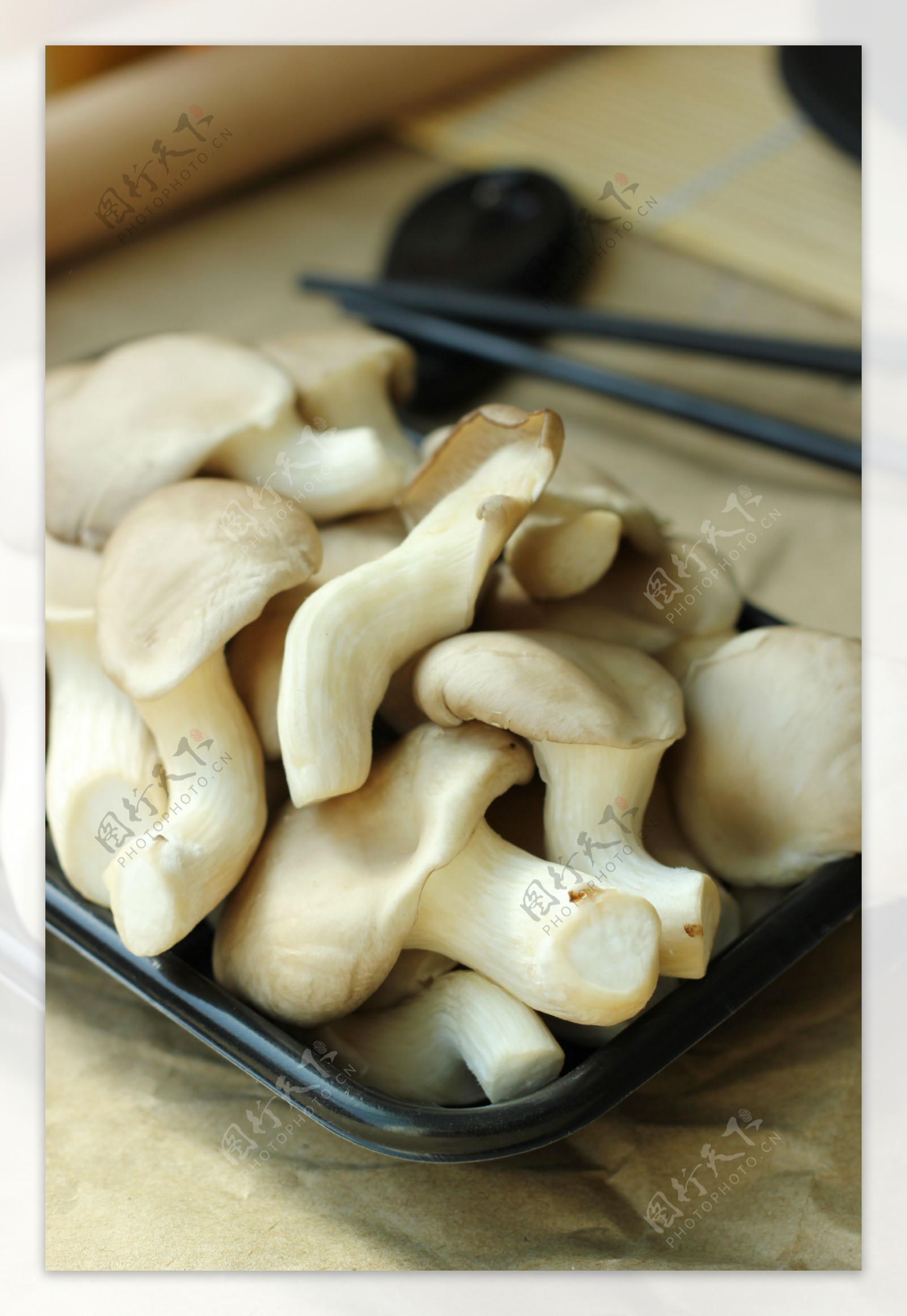 新鲜 平菇/凤尾菇 | Phoenix Premier Mushrooms 500g - HappyGo Asian Market