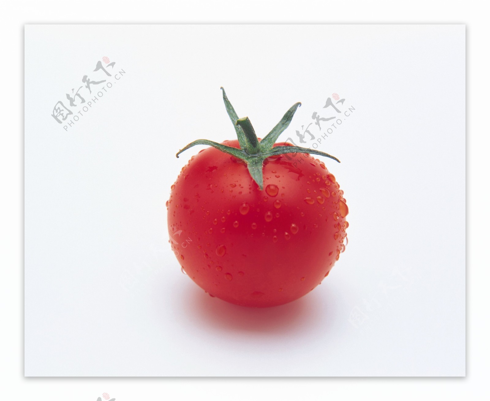 番茄图片