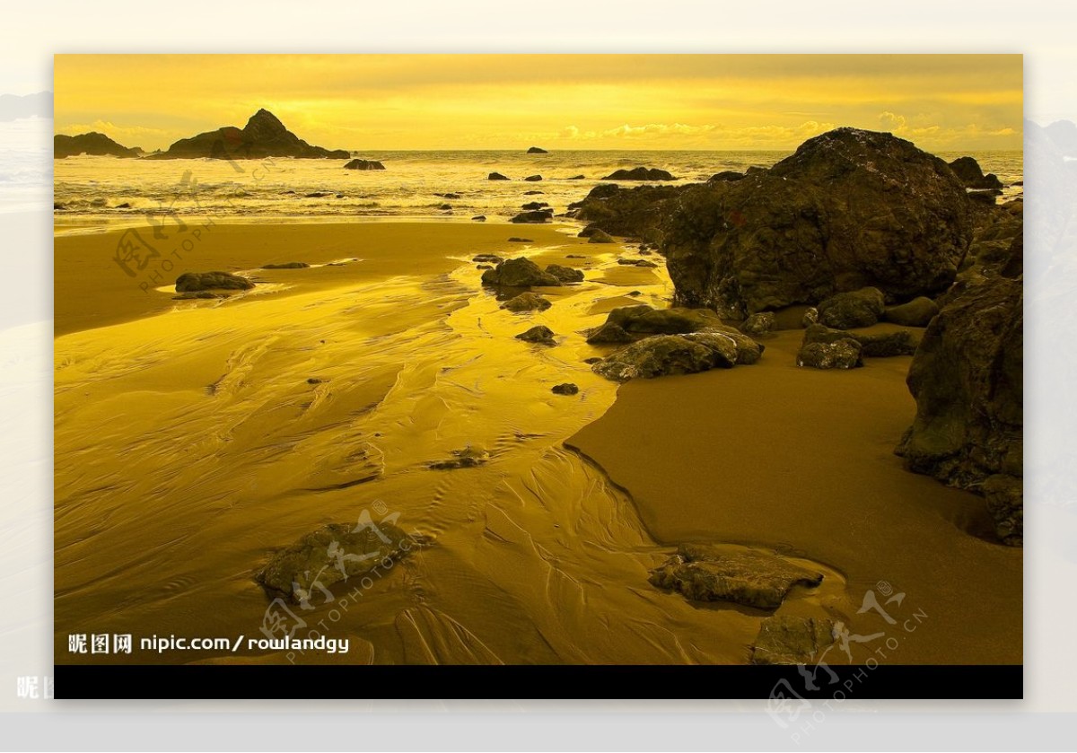 金色系海滩图片