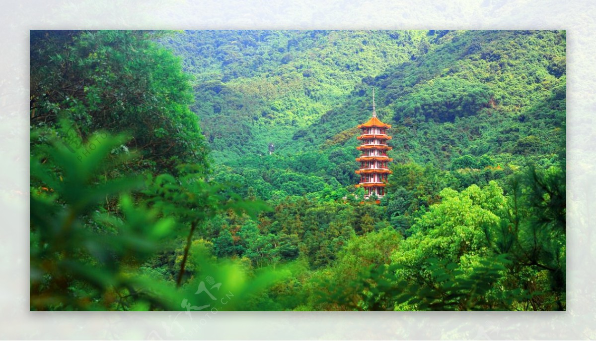 深圳仙湖植物园图片