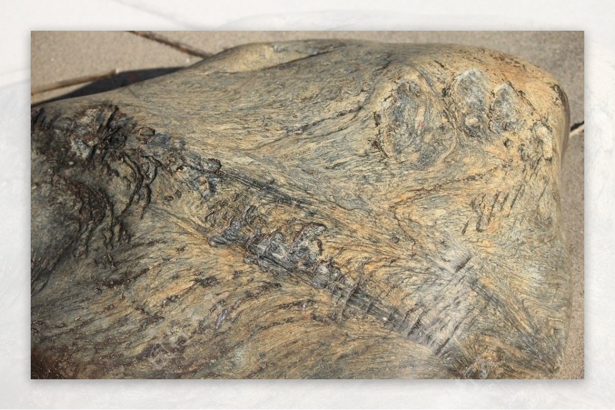 怒江的鹅卵石图片