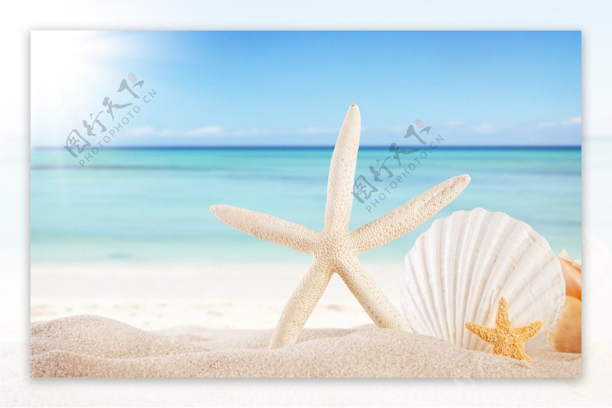 清新唯美沙滩海星图片