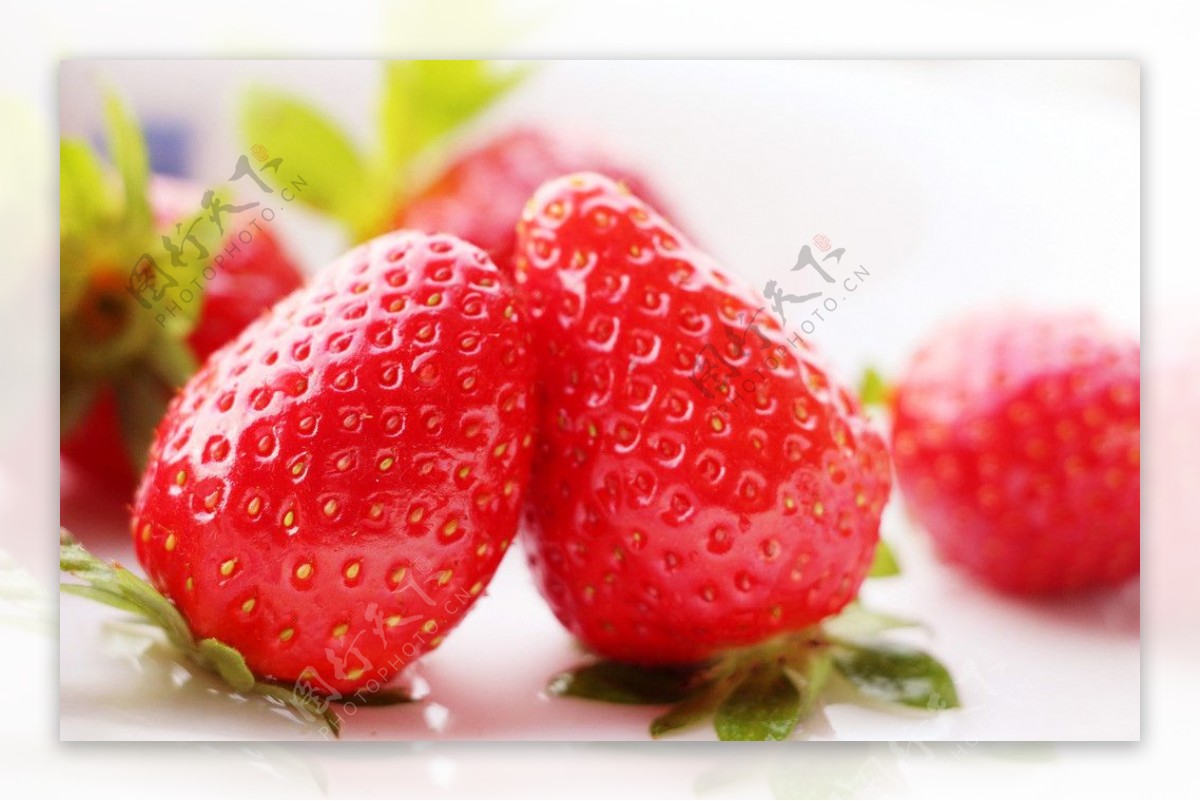 草莓爱情图片