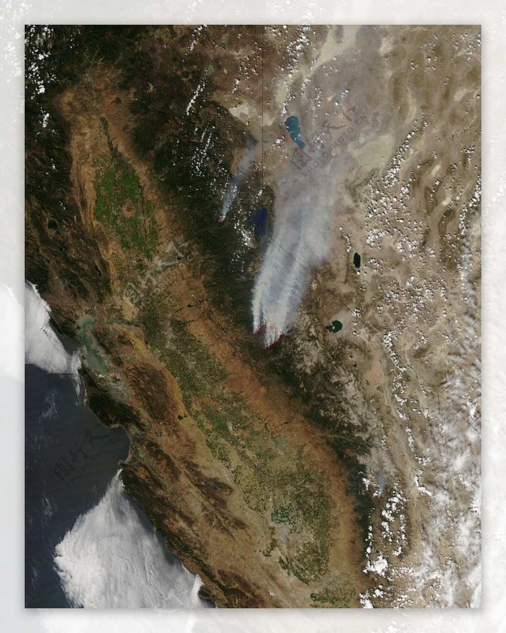 加利福利亚大火图片