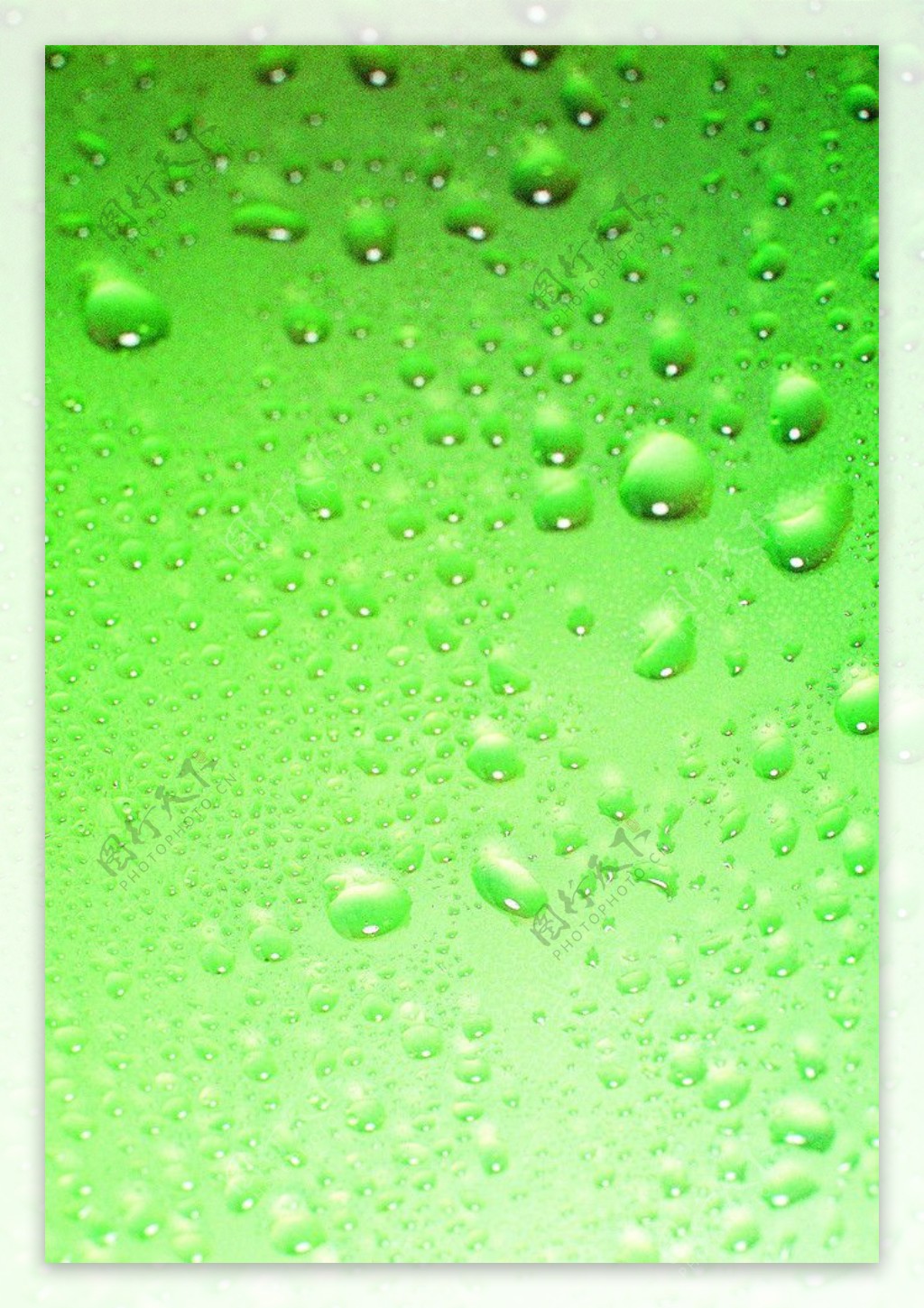水珠绿色水珠图片
