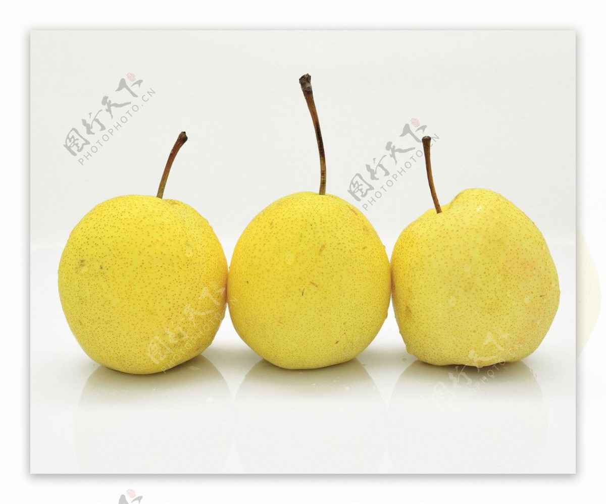 水果梨子图片