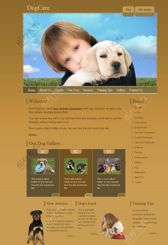 爱护犬CSS网页模板图片