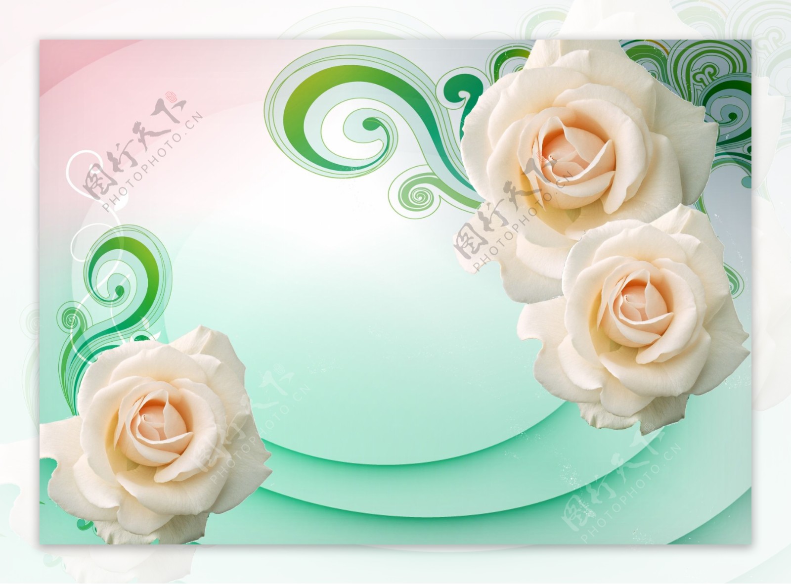 3D玫瑰背景图片