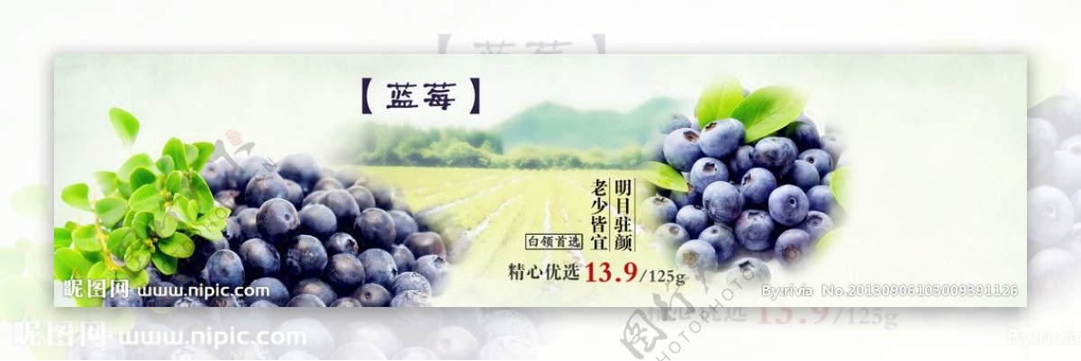 蓝莓宣传海报图片