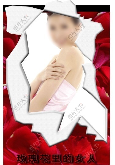 玫瑰花里的女人图片