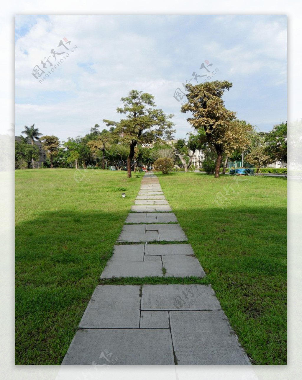 绿草地上的小石路图片