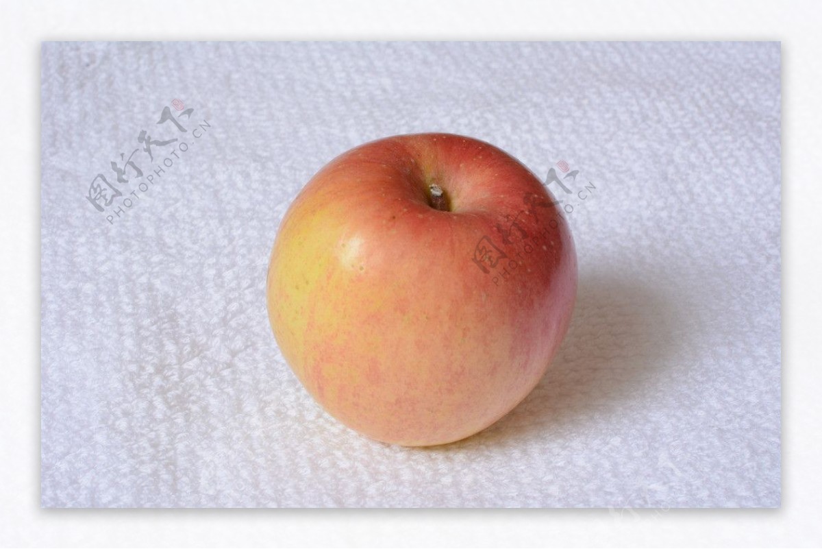 苹果静物摄影图片