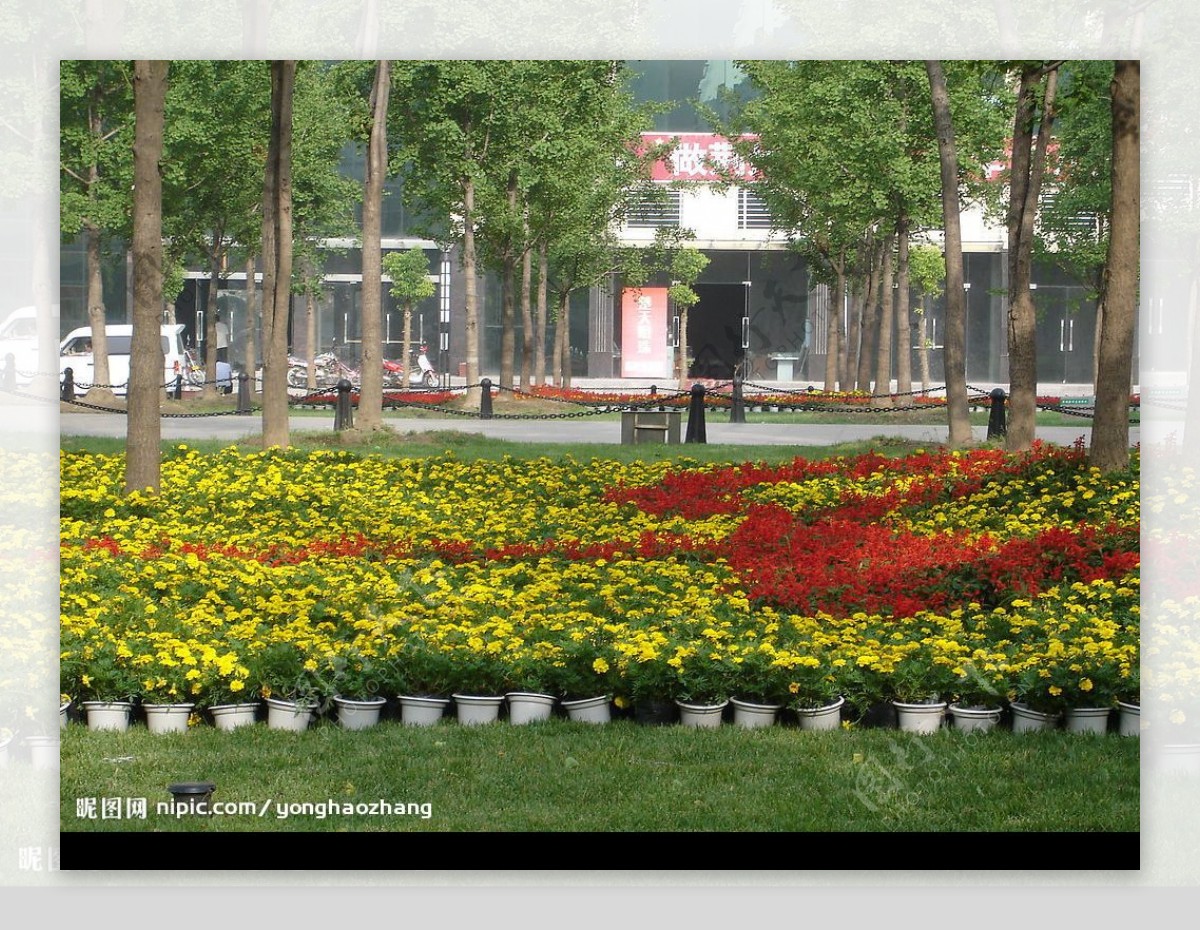 城市花园广场图片