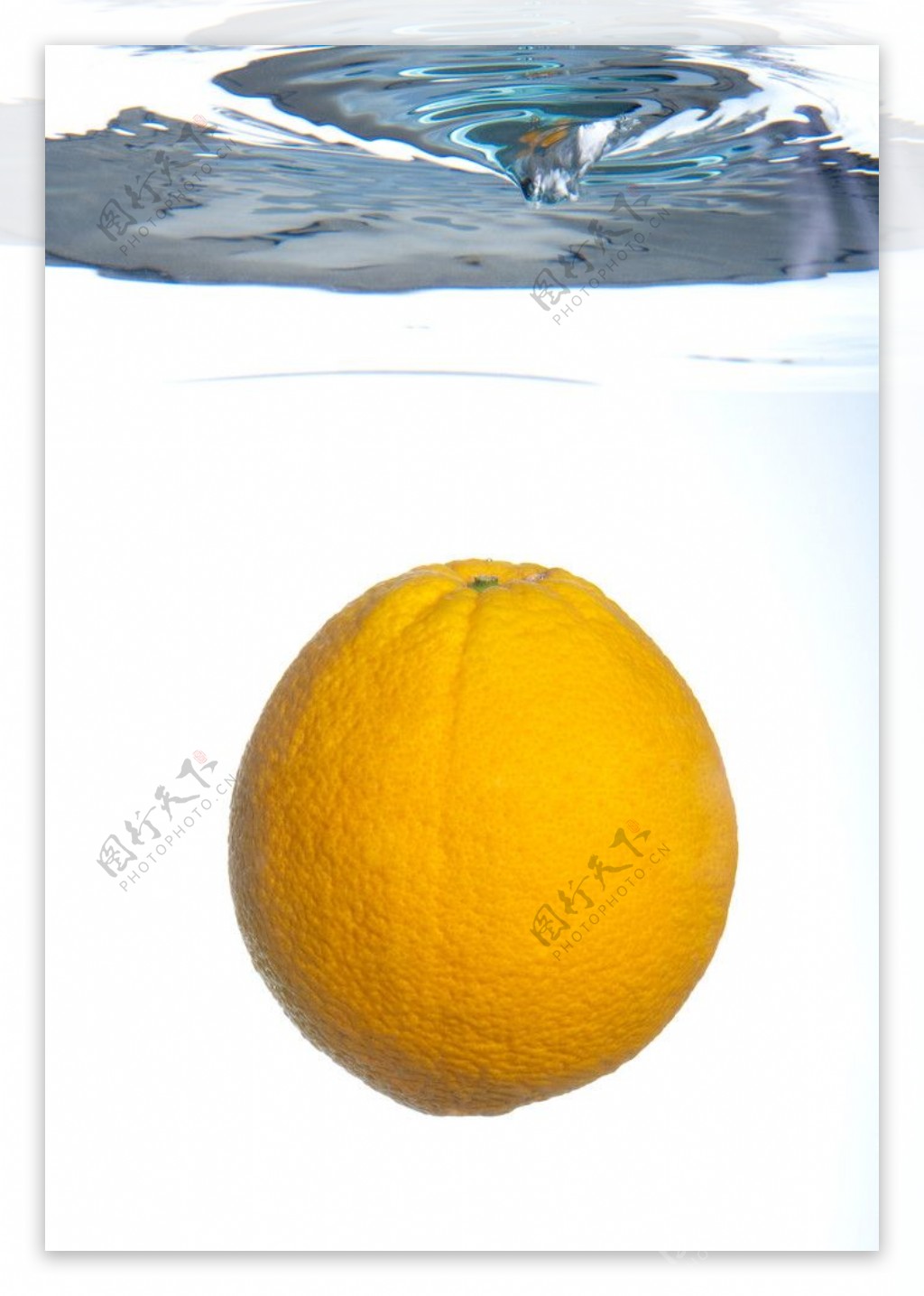 入水橙子图片