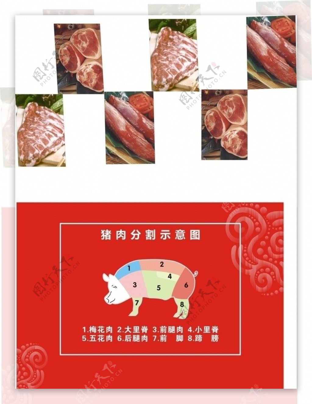 猪肉解剖图图片