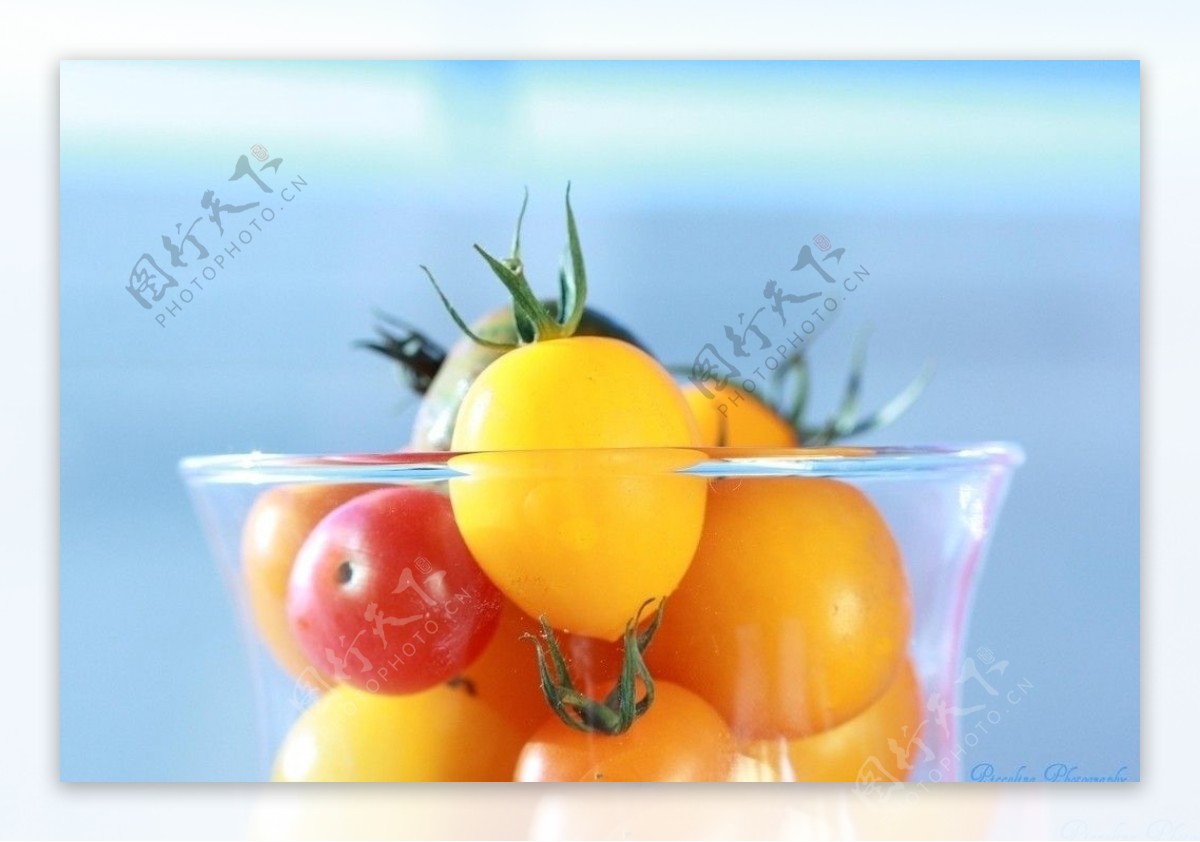 玻璃杯中的西红柿图片