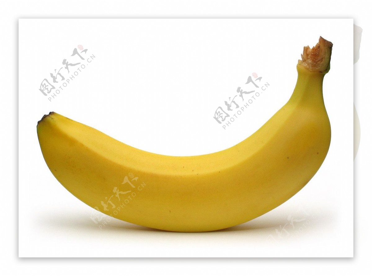 香蕉图片_的香蕉图片大全 - 花卉网