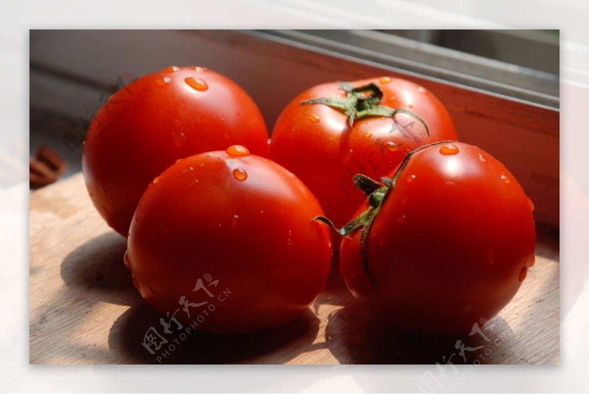 鲜艳西红柿图片