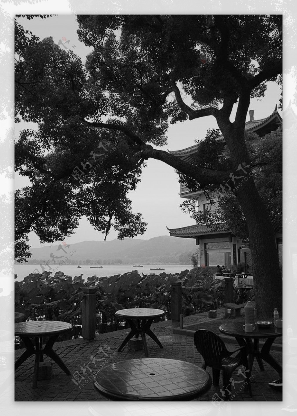 杭州西湖边的茶室图片