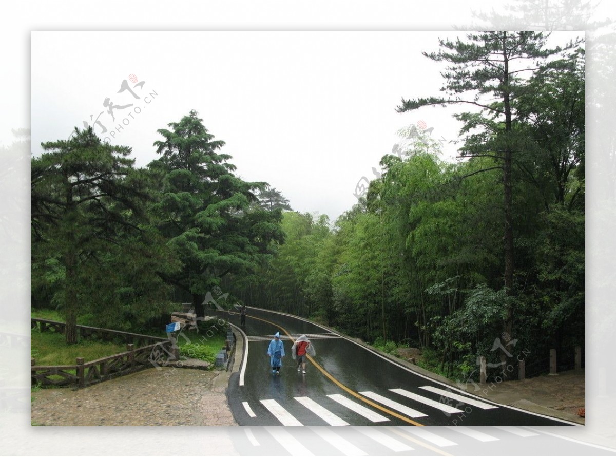 雨后黄山路图片