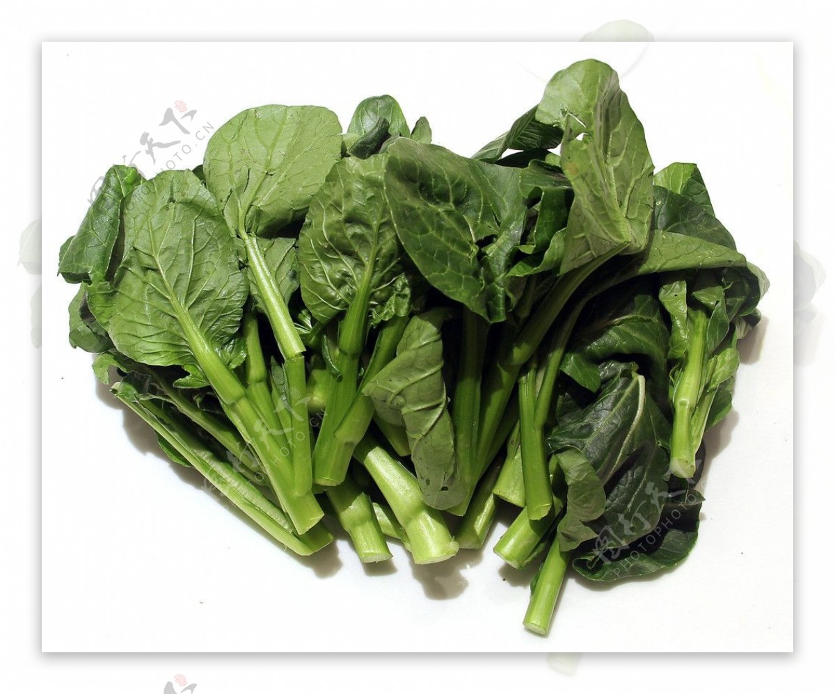 蔬菜健康食品图片