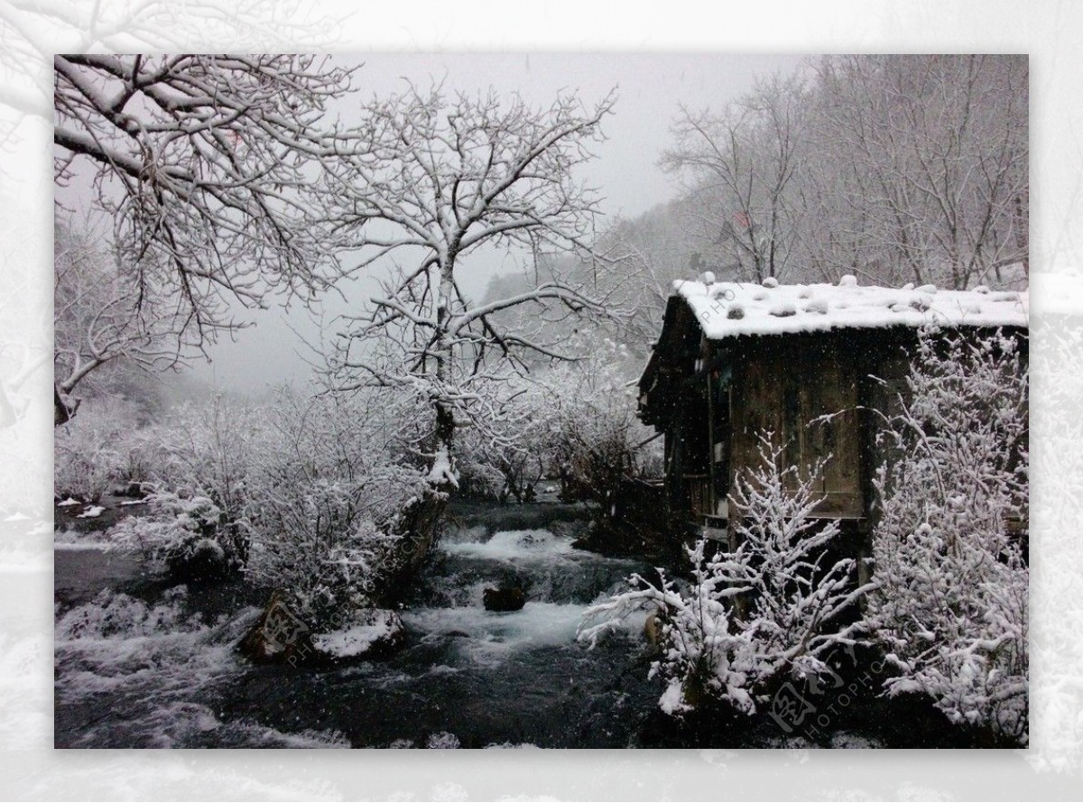 雪景漂亮风景雪图片