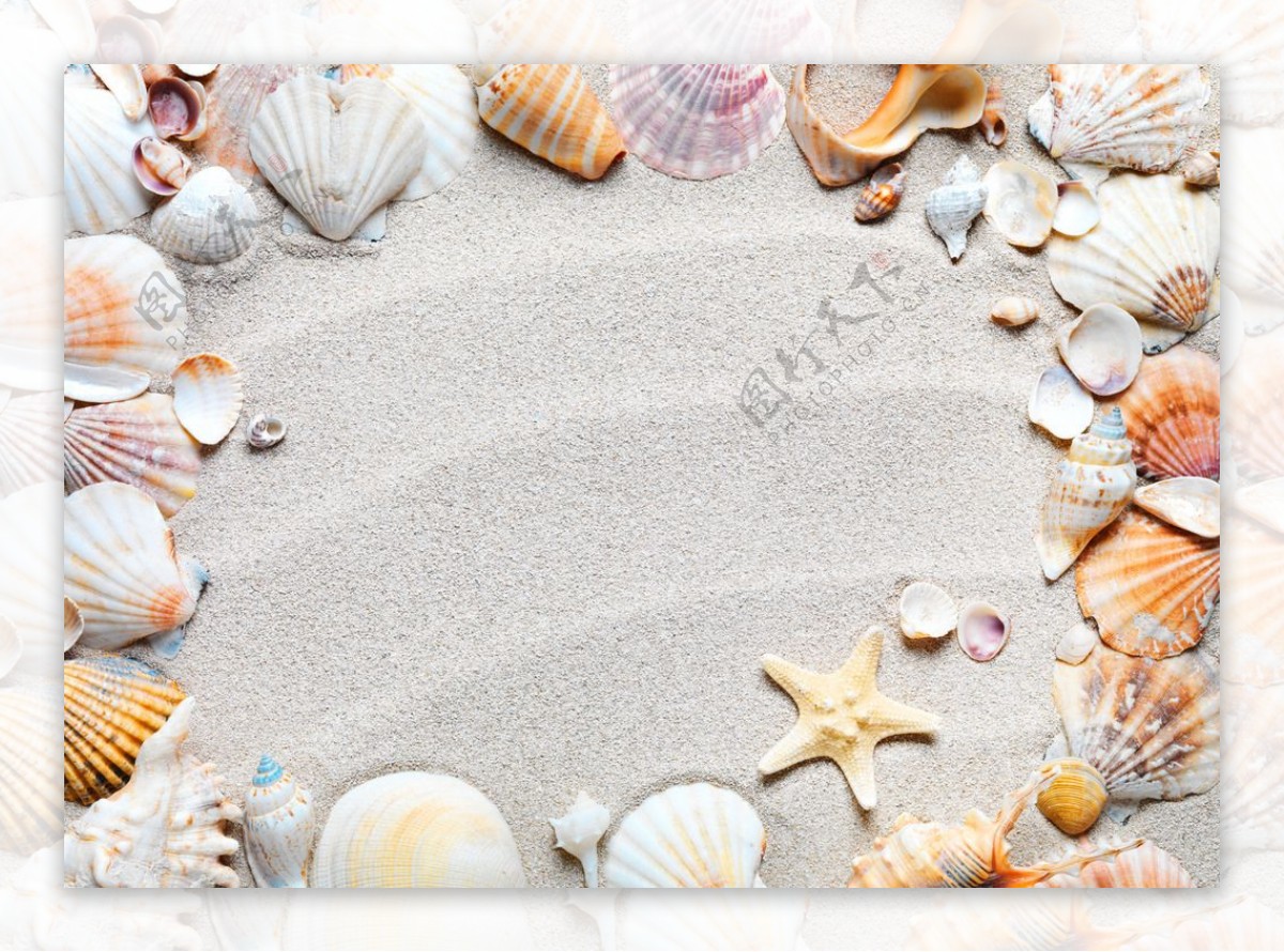 海边 沙滩 贝壳 - 堆糖，美图壁纸兴趣社区